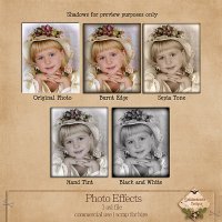 Photo Effects Styles {CU/S4H} by SnickerdoodleDesigns