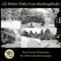 CU Winter Paths by StarSongStudio