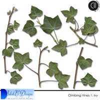 Climbing Vines 1: Ivy