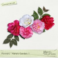 Flowers - Nana's Garden 1