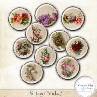 Vintage Brads 03 by Mamrotka designs