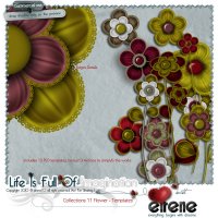 Collections 11 Flower - Templates