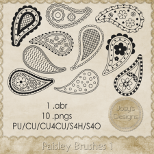 Paisley Brushes 1 by Josy 