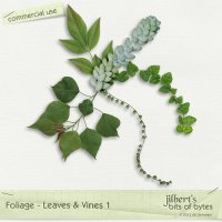 Foliage - Leaves & Vines 1