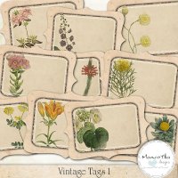 Vintage Tags 01 by Mamrotka designs