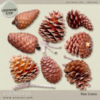 CU Pine Cones