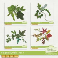 Foliage Bundle - Mix 1