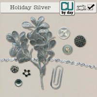 Holiday Silver