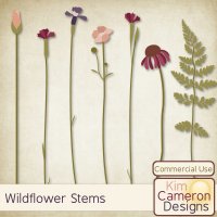 Wildflower Stems