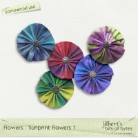 Flowers - Sunprint Flowers 1