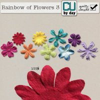 Rainbow of Flowers 3