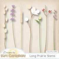 Long Prairie Stems