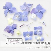 Designer Resources Vol. 25 by Lara´s Digi World
