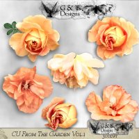 G & T DESIGNS CU FROM THE GARDEN VOL 1