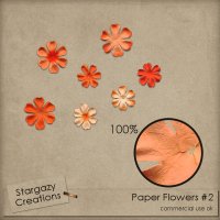 Paper Flowers #2