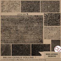 Brush Genius Volume Seven by Mad Genius Designs