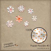 Paper Flowers #3