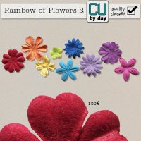 Rainbow of Flowers 2