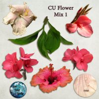 CU Flower Mix 1