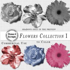Flower Collection I by Rose.li