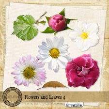 Flowers and Leaves 4 elements by Happy Scrap Art