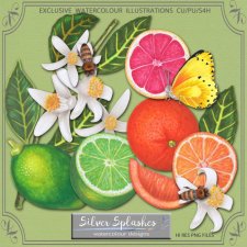 EXCLUSIVE Citrus set by Silver Splashes